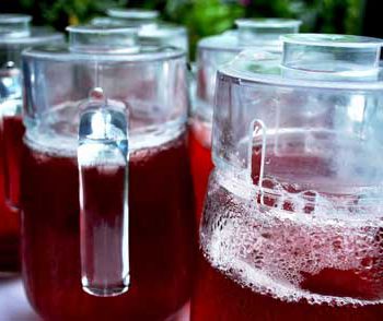 rosa-de-jamaica-jose-Joge-guatemala-fresco-refresco-recetas-comida-tipica