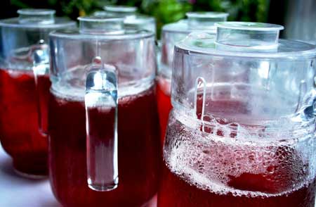 rosa-de-jamaica-jose-Joge-guatemala-fresco-refresco-recetas-comida-tipica